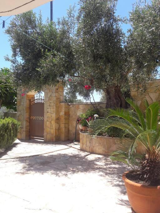 Porto Vito Apartment Aigosthena Luaran gambar